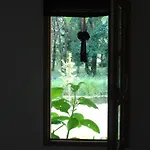 De La Cascade Casa de Férias *